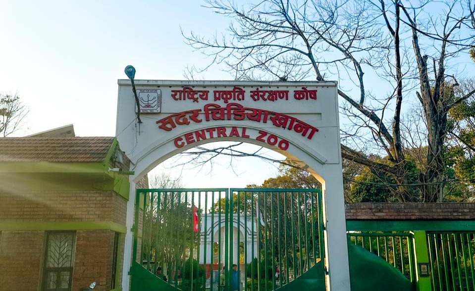 The Central Zoo